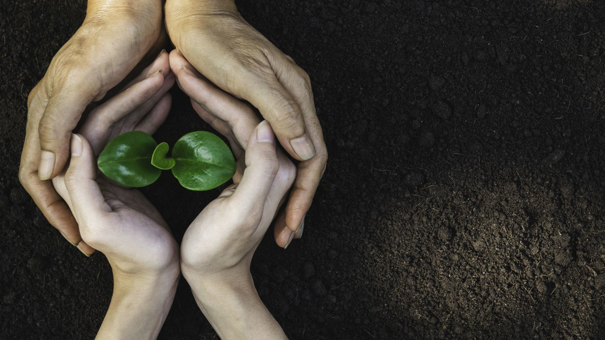 handleaf.jpg